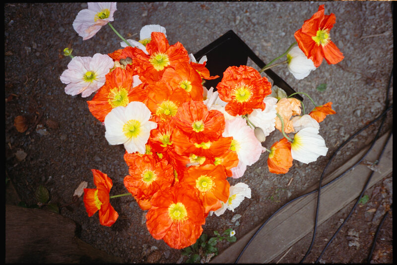 Wedding photo film candid documentary portland oregon seattle california flowers