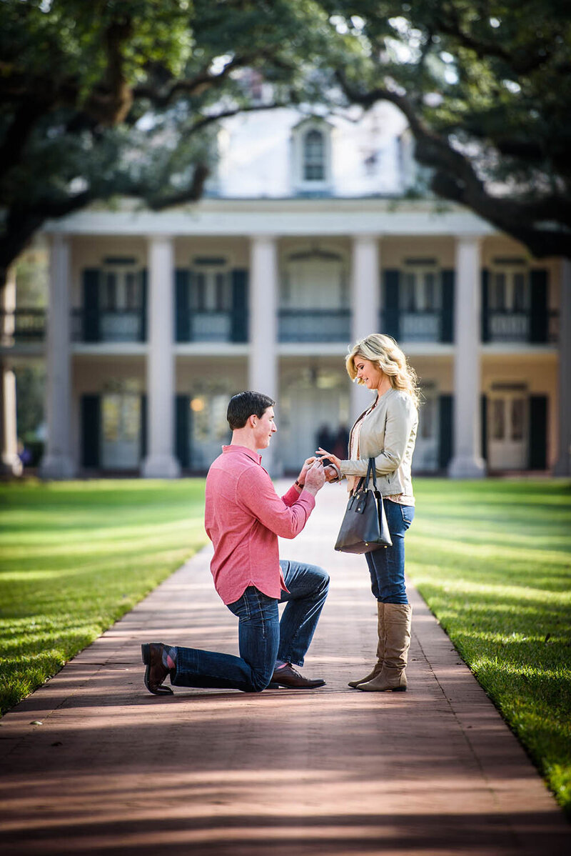 Marriage proposal at Oak Alley Plantation near New Orleans