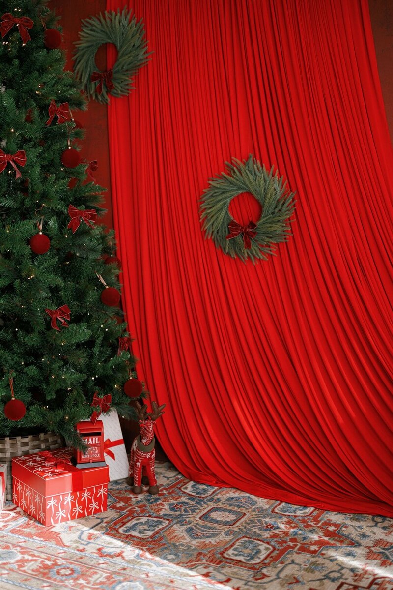 boston-holiday-minis-ana-pavesi25