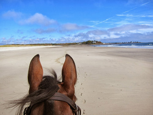 parsons-beach-maine-horseback