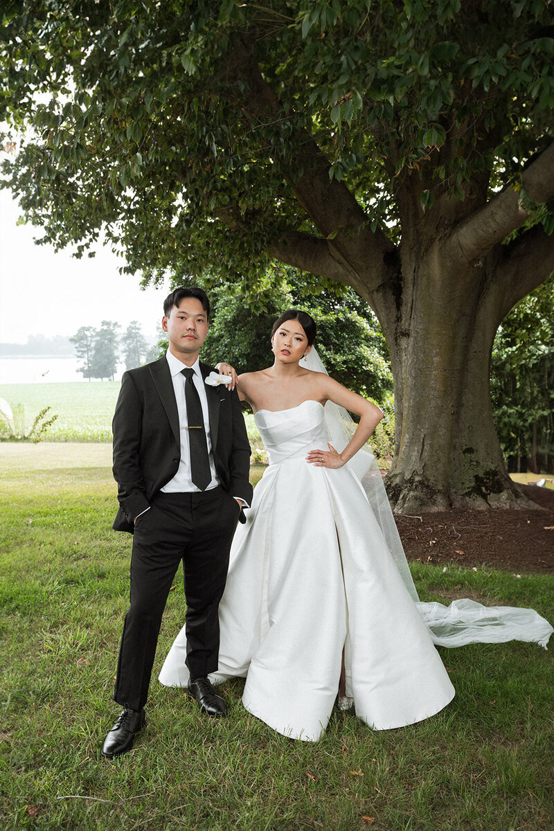 Newly married couple posing for a picture in a lawn with a tree behind