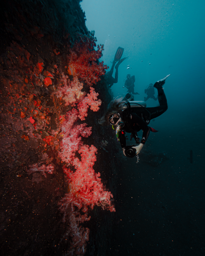 Tiffany Simonovski Scuba Diving the USAT Liberty Shipwreck Tulamben Bali Indonesia Bright Pink and red coral wall