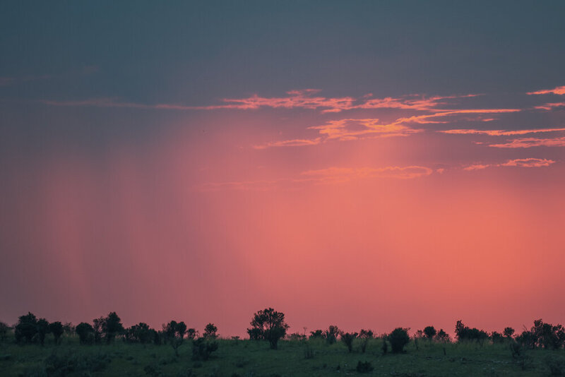 safariedited-536