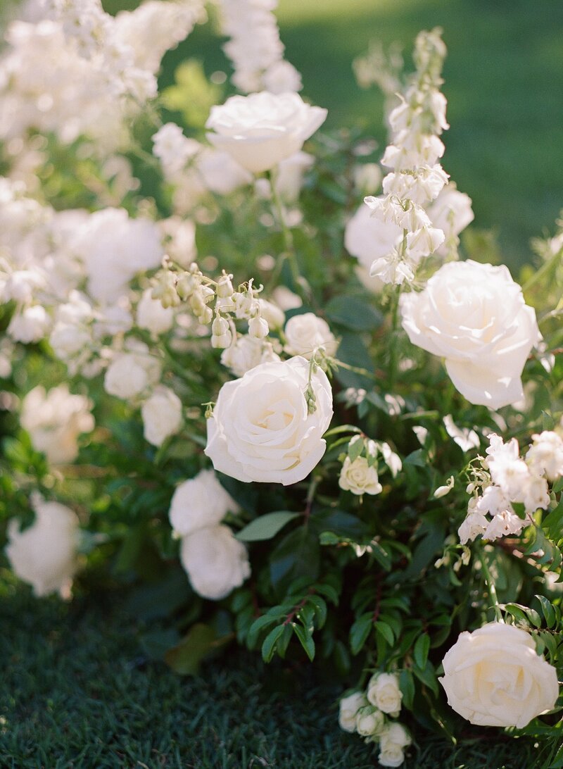 Planner Email Template Bundle