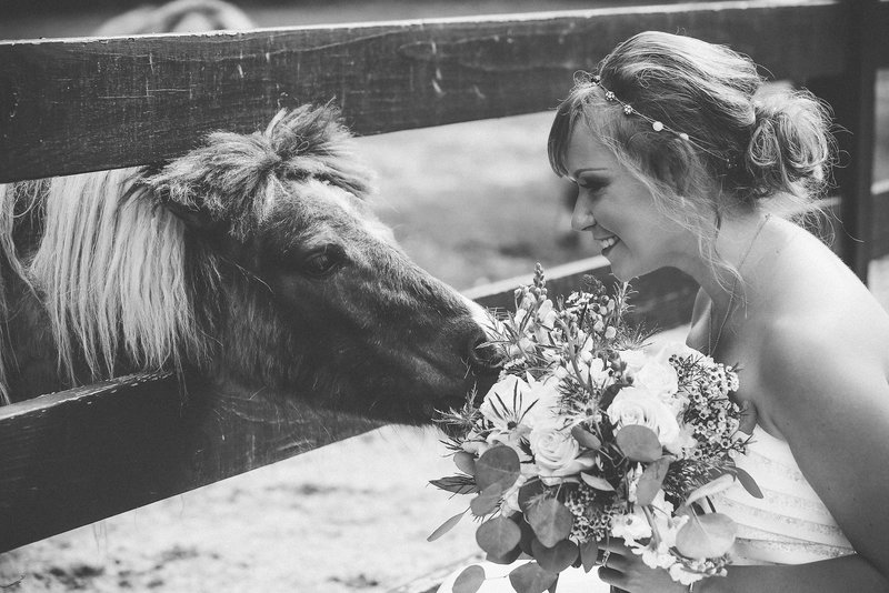 A horse tries to eat a brides bouquet at a Charleston SC Wedding. 