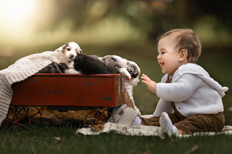 Beautiful photos of a boy and a wagon full of puppies by Iya Estrellado, a Virginia Beach Photographer..