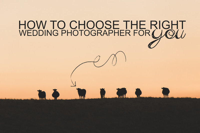 how_to_choose_the_right_wedding_Photographer_for_you_text (1)