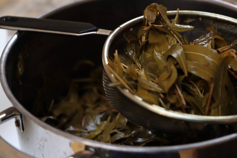 Natural dyeing with willow leaves_._