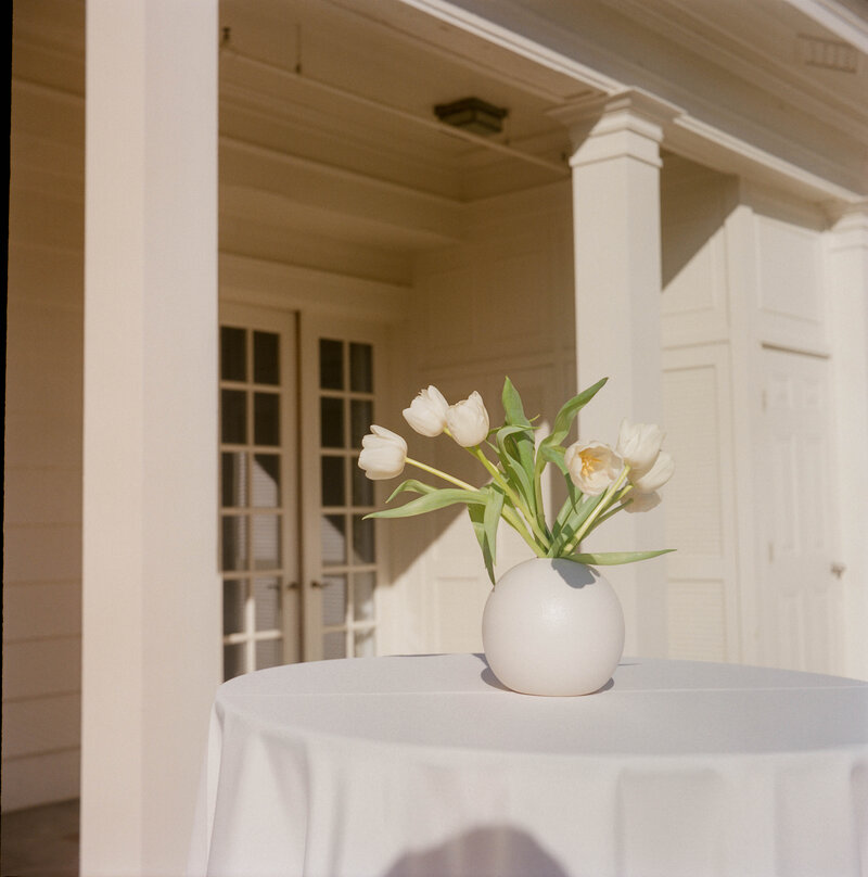 Lindsey Whatley Photo Wedding Film Photography California New York Tennessee Farm Garden Documentary