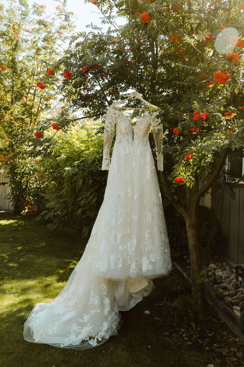 Wedding Photographer in Missoula Montana 