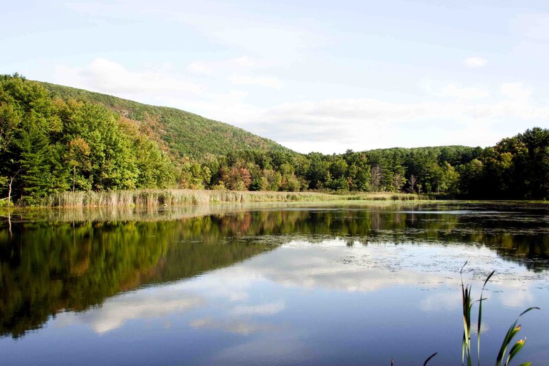Scenic view of a calm lake and green hills in the Berkshires, Massachusetts