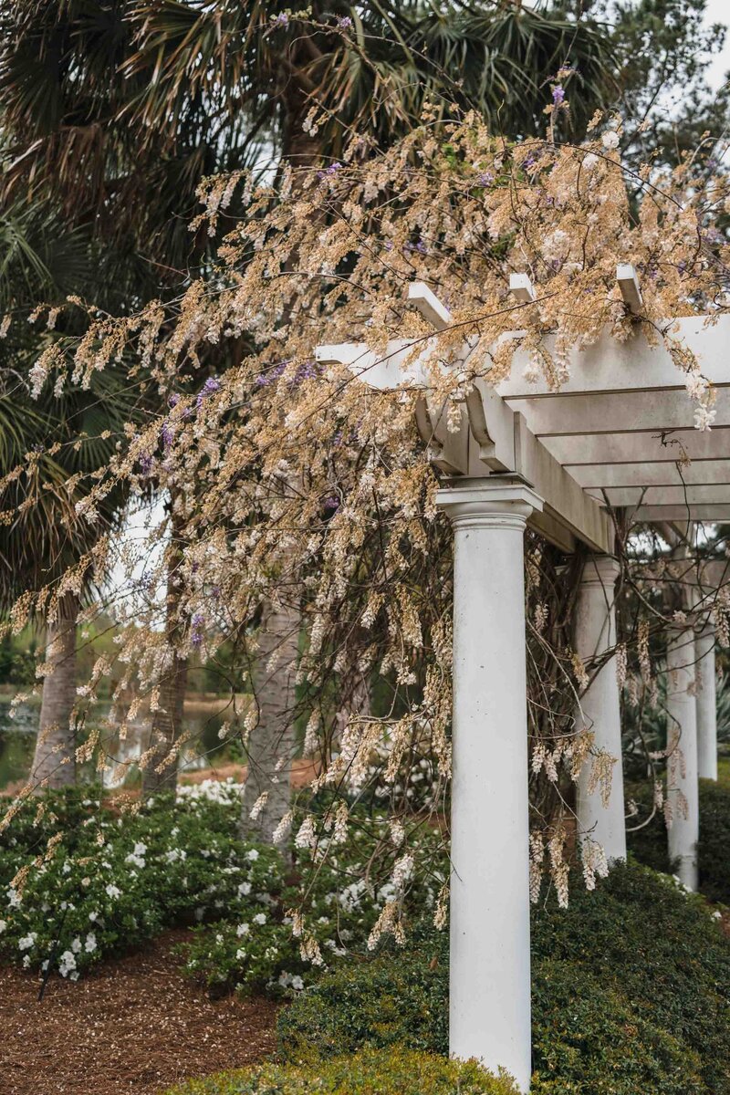042_Savannah Botanical Wedding Photography _