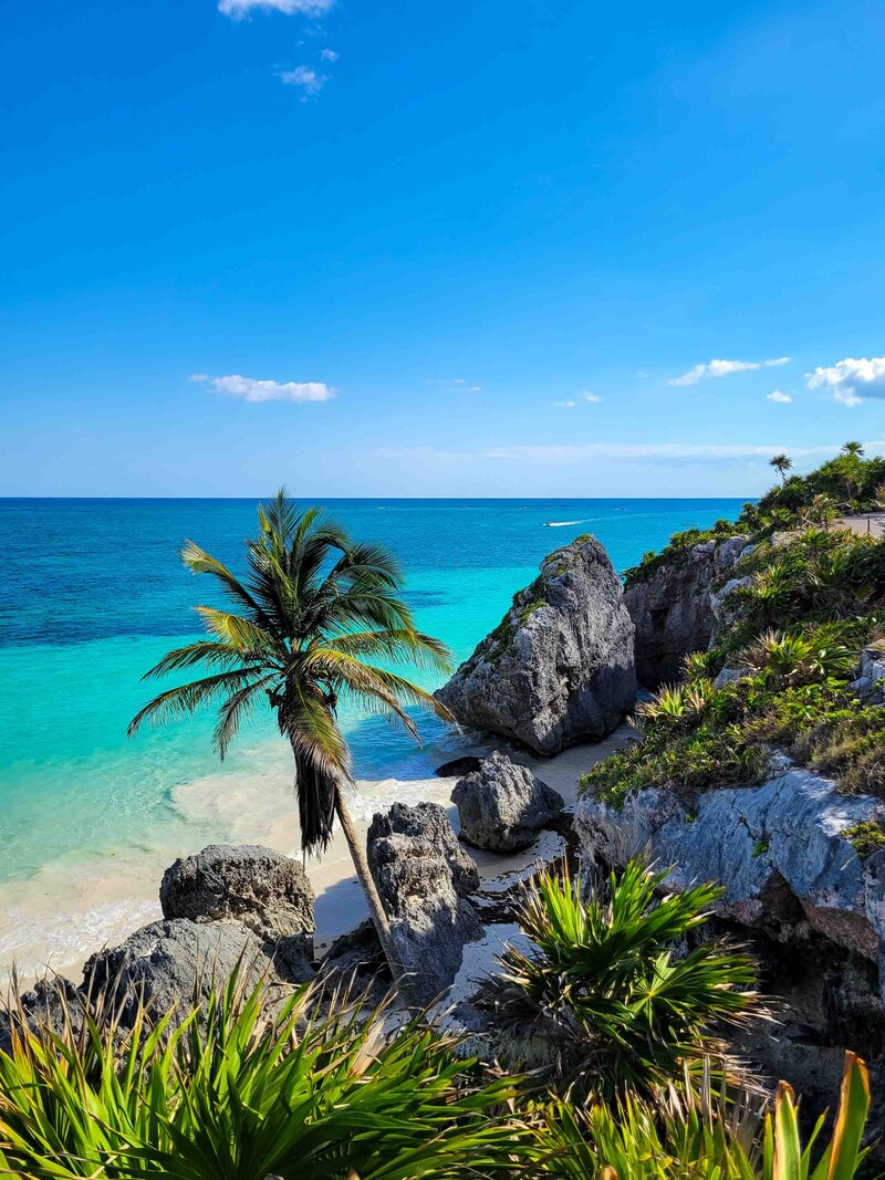 Turquoise waters and a white sand beach framed by rugged limestone cliffs and lush greenery in Tulum, Mexico, with a leaning palm tree in the foreground ©Stephanie Dosch | theViatrix Luxury Travel