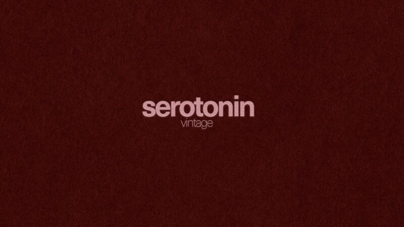 Brand Guidelines Serotonin Vintage
