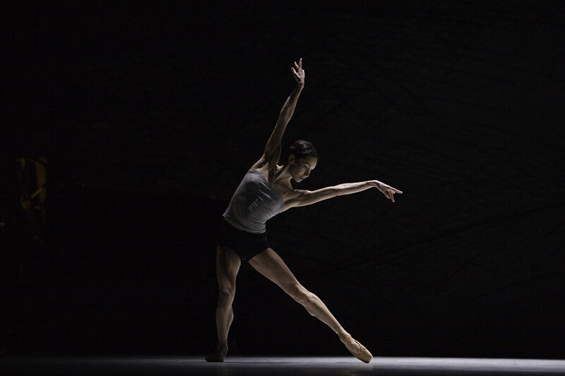 Photo danse dove 