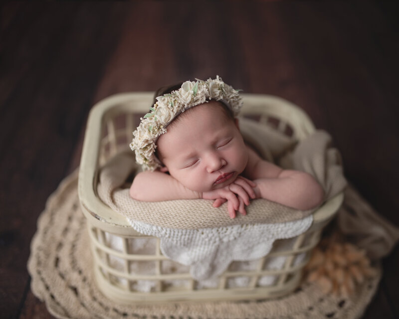 Rustic newborn portrait featuring a baby girl in a cream basket, surrounded by soft textures and florals—crafted with warmth and vintage charm.