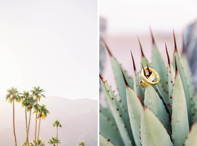 Palm Springs engagement photographer matt-106