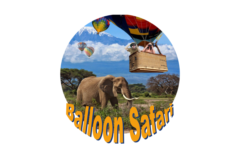 DreamCraft_Theme_Balloon_Safari