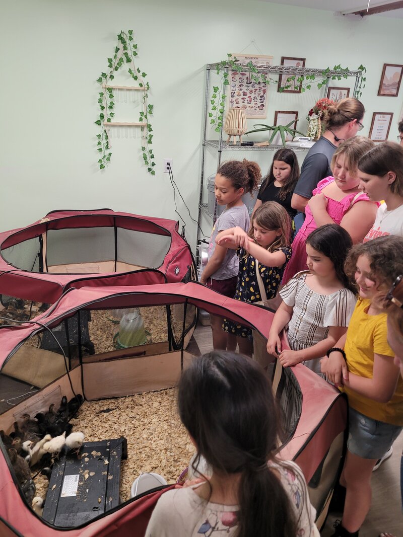 Children gathered around baby animals at ROOTS