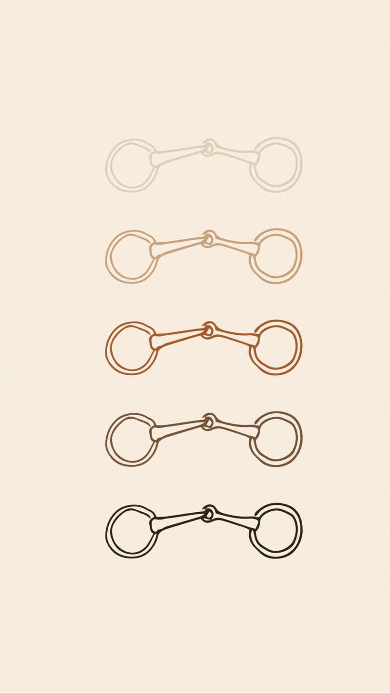 Five ombre horse bits in shades of cream, orange, and brown