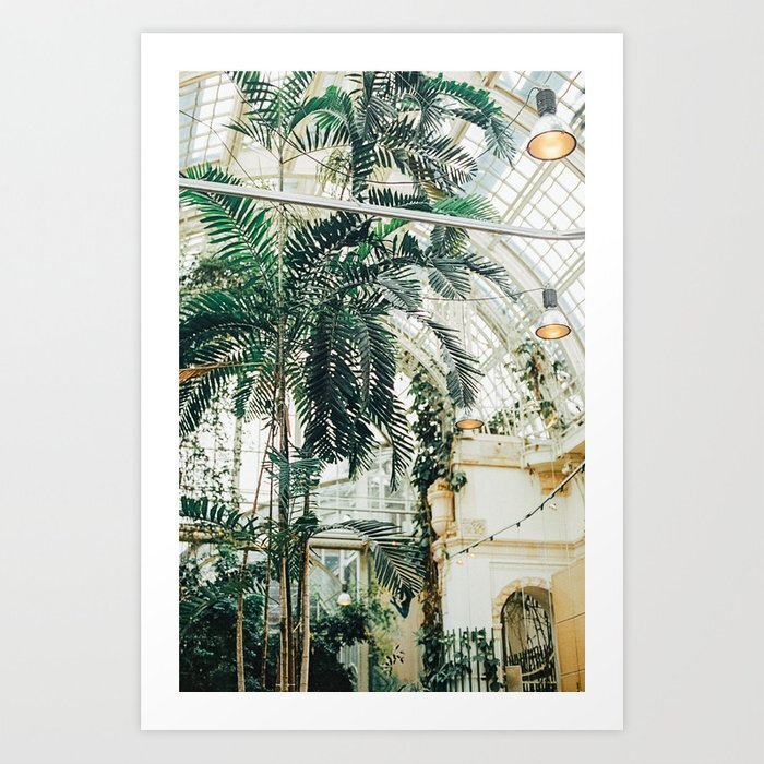 palm-trees-palmenhaus-vienna-prints