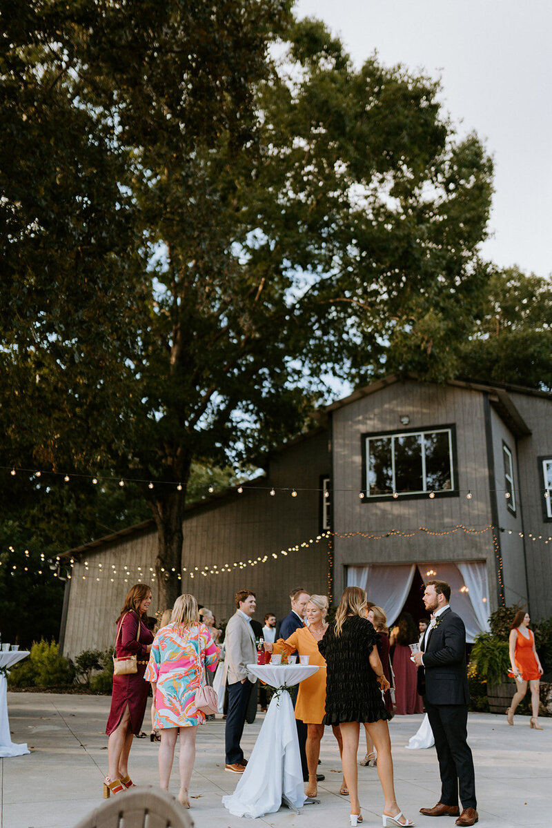 TheMitchellWedding0612_websize