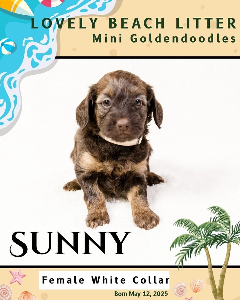 Beach - Sunny White Female