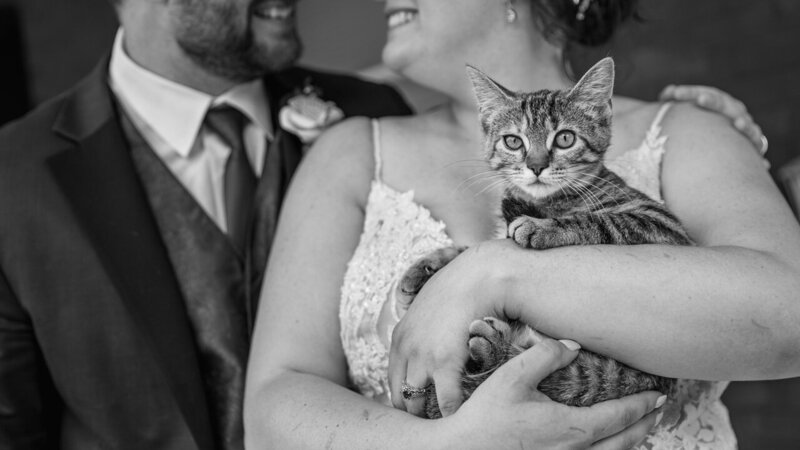 Bride and groom holding their cat on their wedding day, a fun and candid moment captured in a real style.