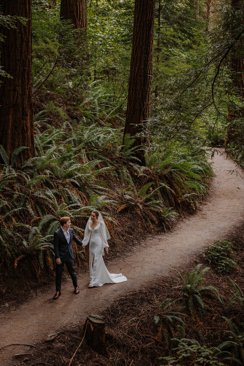 Bride and groom hiking down trail with ferns and redwood trees