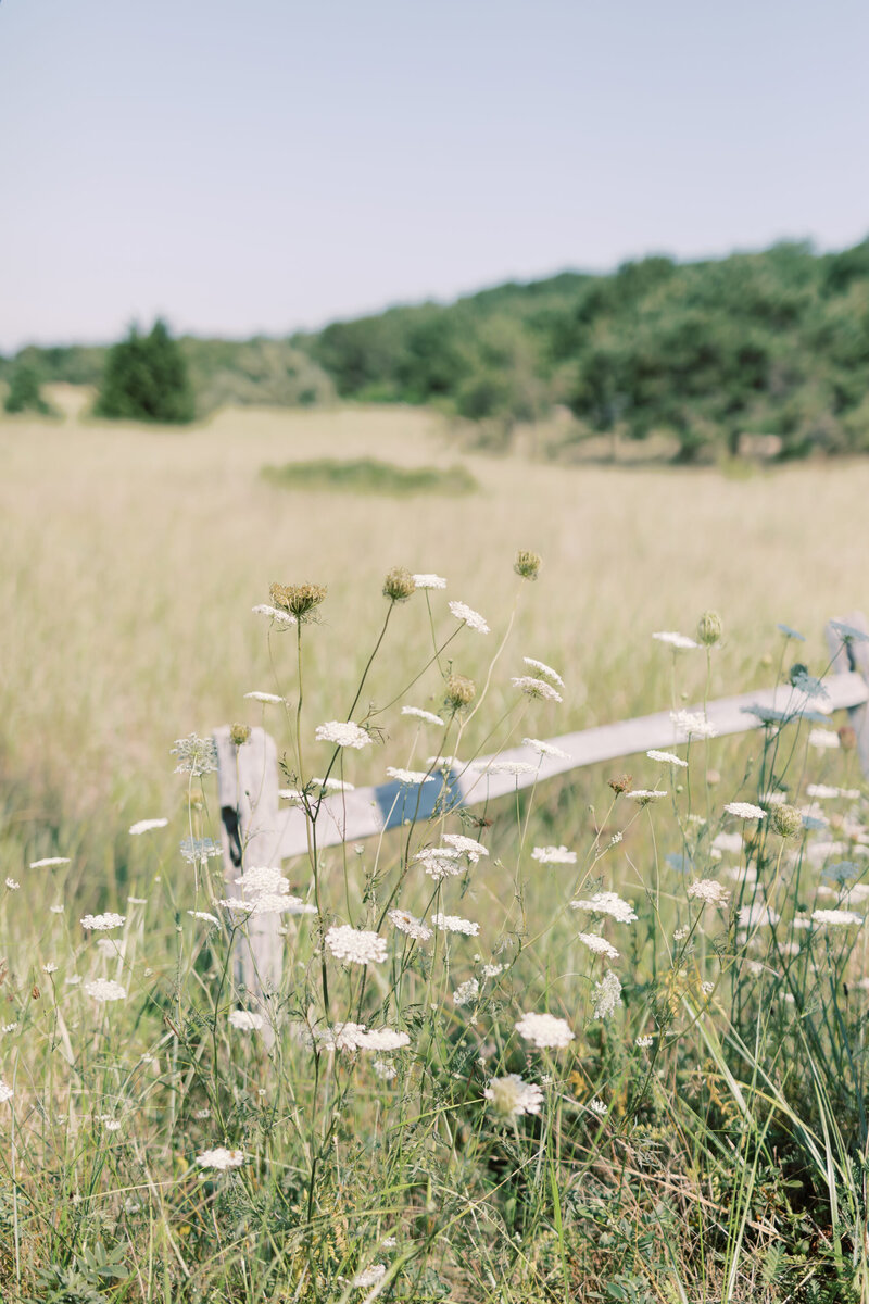 A serene scene of fresh green grass with wildflowers, evoking a sense of holistic wellness, natural beauty, and tranquility.