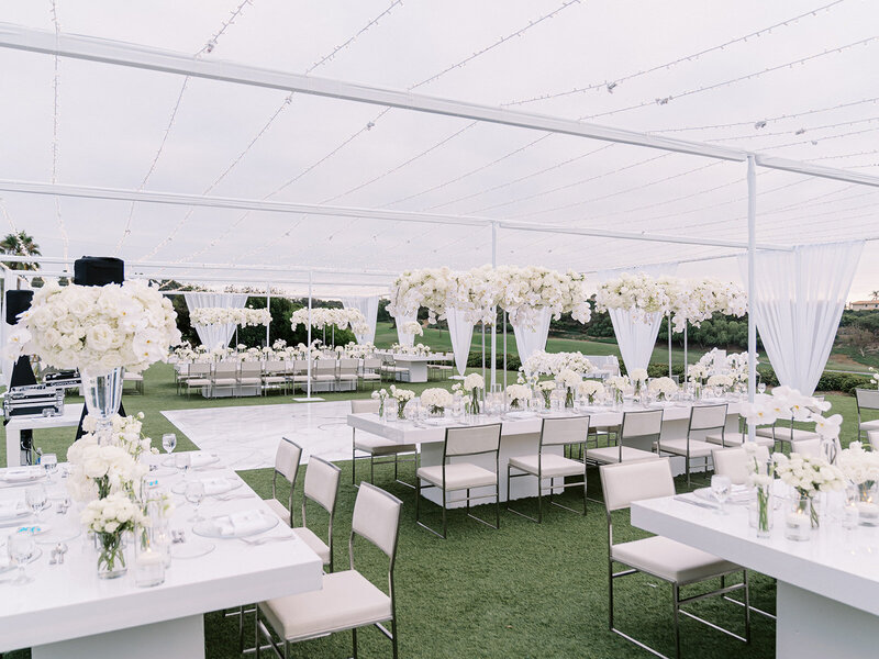 ericastreelman_jenesa and avi-431