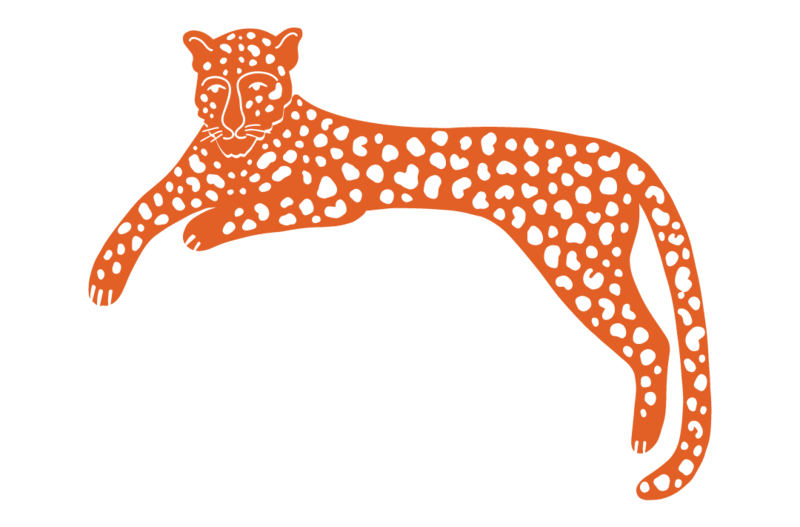 red cheetah illustration HPC