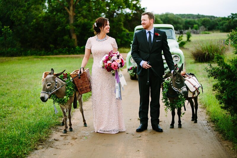 Hill country bride and groom walking donkeys on dirt path