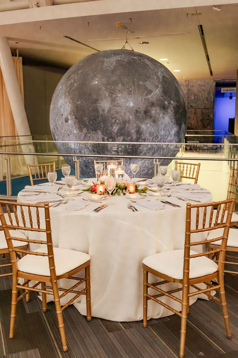 adler-planetarium-wedding-chicago (17)