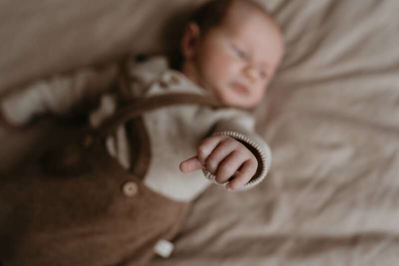 Eloi newborn22