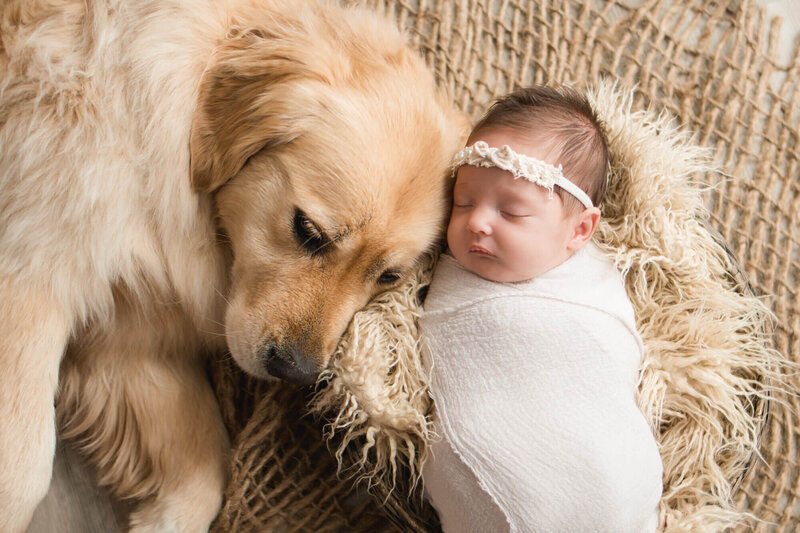 Appleton Wisconsin Newborn Photo Session dog and baby in studio session | Glory Be Photography by Tara Bos