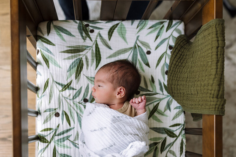 swaddled newborn with eyes open laying in crib with leaf patterned sheet
