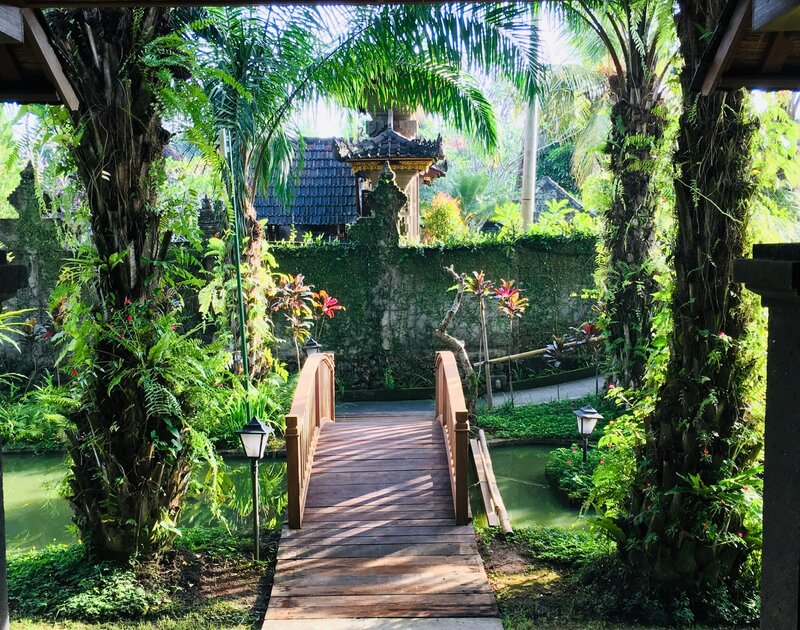 Bali wellness retreat