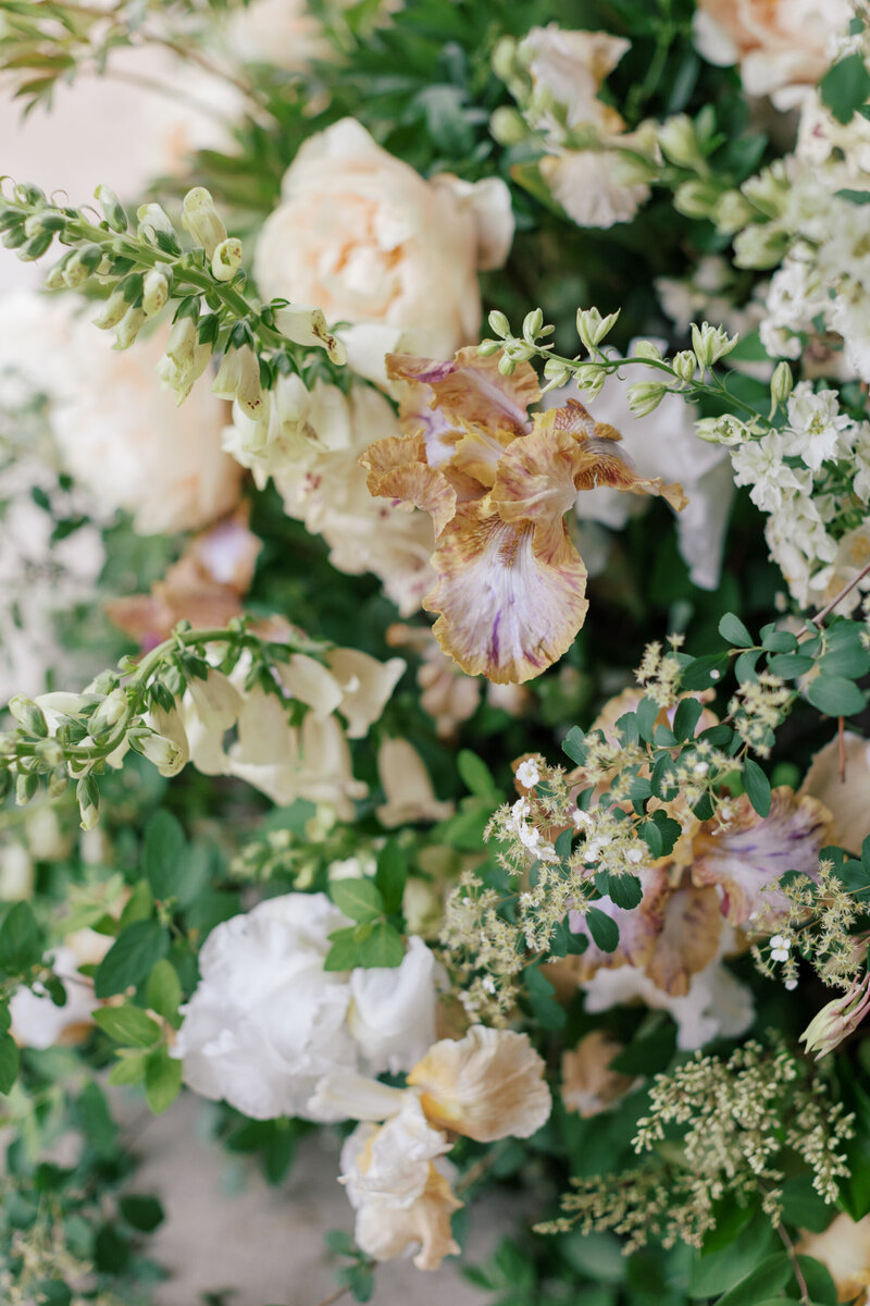 cairnwood-estate-wedding-photo-hhp-118