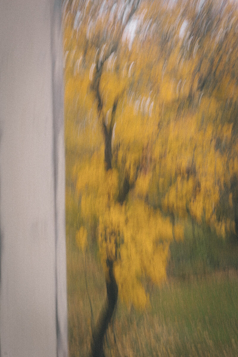 autumnal-101_websize