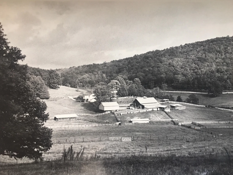 Mountain Laurel Farm black and White historical overview