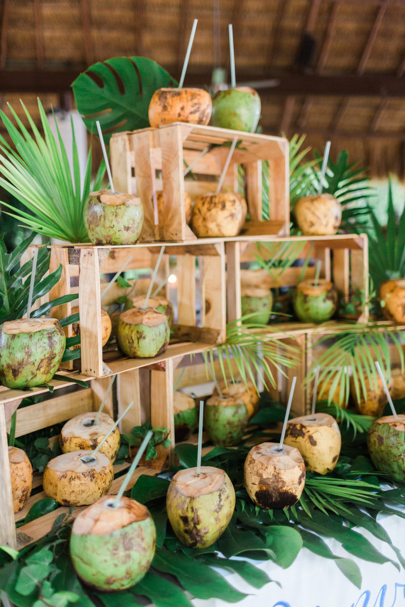 wedding-reception-coconut-stand