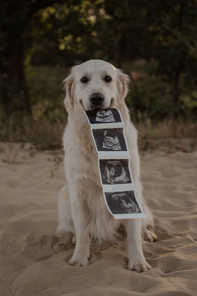 MindyVDBfotografie51