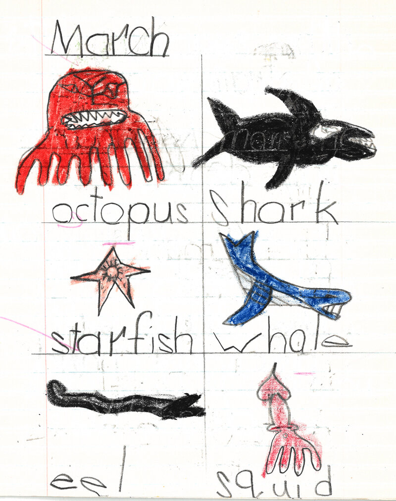 Brent Ray Fraser Sea Life Drawings