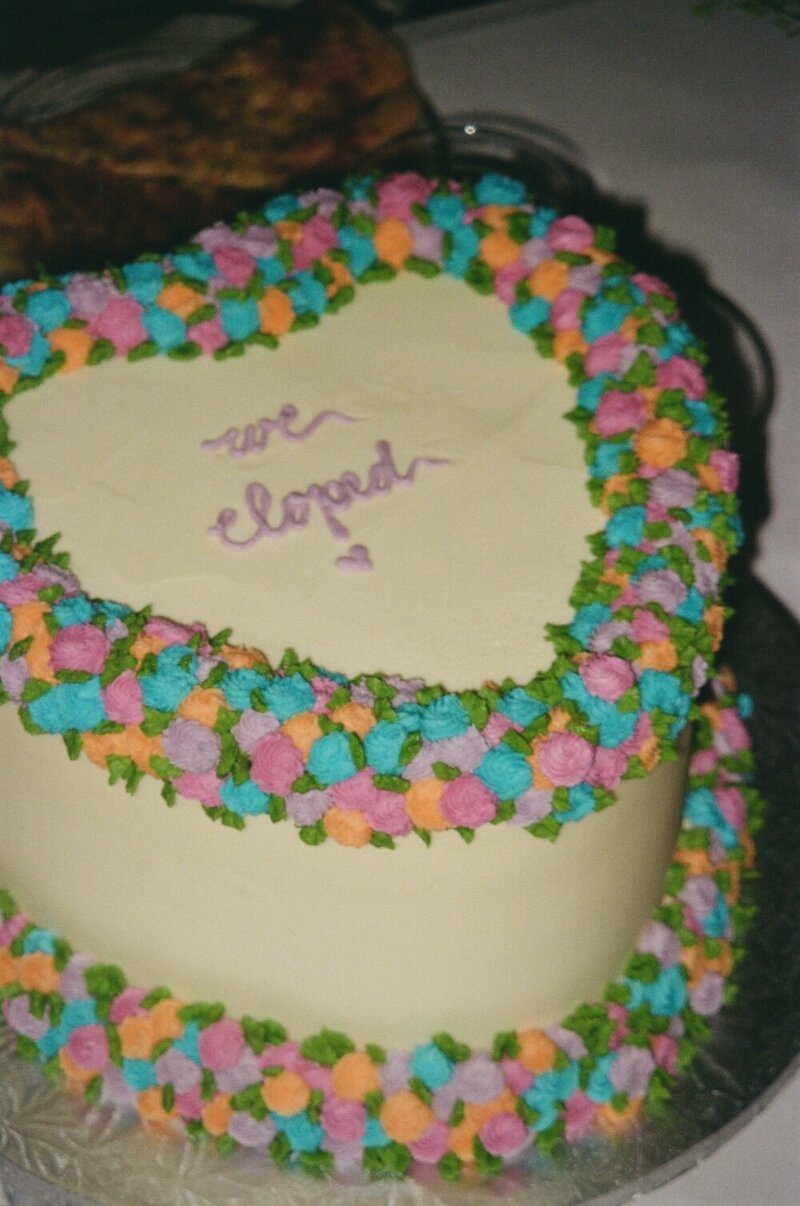 Heart shaped colorful elopement cake