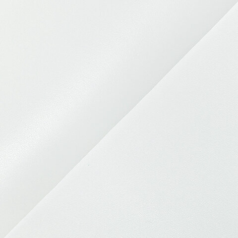 E020