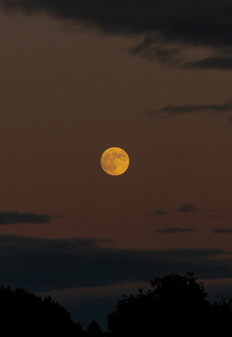 Orange pink skies