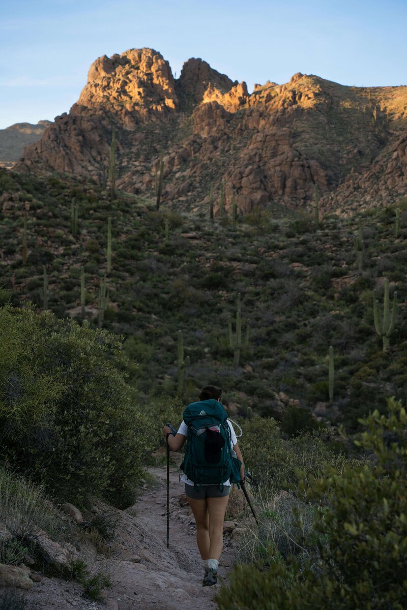 hiker on an Arizona trail
