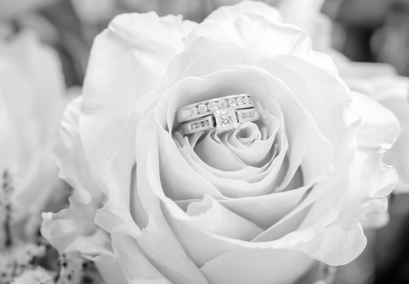 Wedding Gallery-190