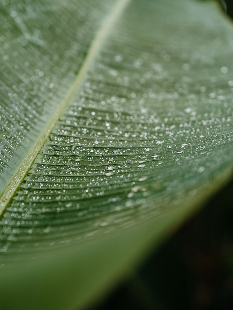 _Sustainability02